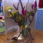 Making a nice house for the butterfly