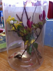 Making a nice house for the butterfly