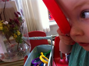 Observing the butterfly using magnifying glass