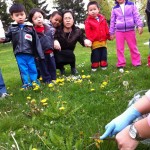 Look at the butterfly!