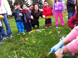 Look at the butterfly!