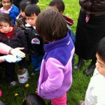 Observing the butterfly just form the cocon