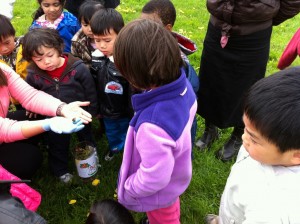 Observing the butterfly just form the cocon