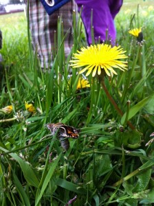 Getting ready to fly
