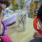 Observing the cocoon using magnifying glass