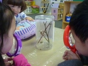 Observing the cocoon using magnifying glass